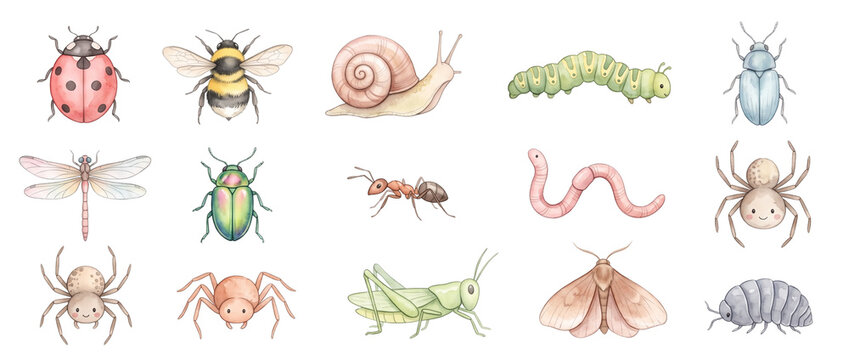 Watercolor insect collection garden bugs illustration set featuring cute spider ladybug bee caterpillar dragonfly and grasshopper isolated on black background for kids education and art graphic design