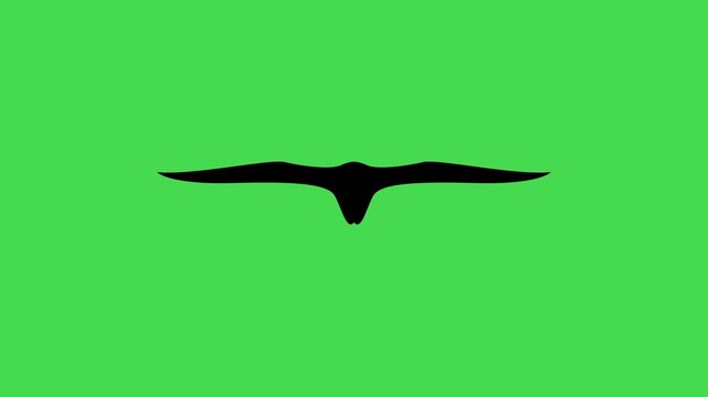 black silhouette of bird flying on green screen. bird flying animation. simple avian movement icon