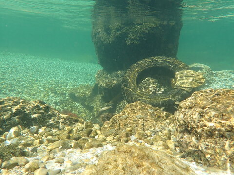 Underwater river photo with sunken car tire and fishes