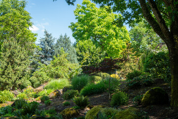 Fototapeta premium Gardens of Oregon showcase vibrant plant life and natural beauty