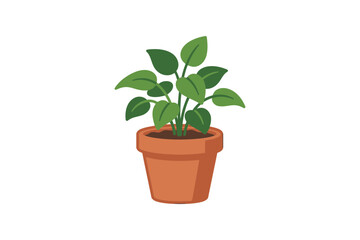 Fototapeta premium Potted Green Houseplant Vector Illustration