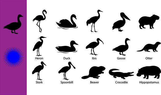 Collection of fifteen black water bird aquatic mammal silhouettes featuring goose flamingo swan heron pelican capybara duck ibis stork spoonbill beaver crocodile hippopotamus otter banner