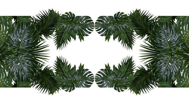 Isolated exotic tropical green leaves decorative border featuring monstera and palm fronds
