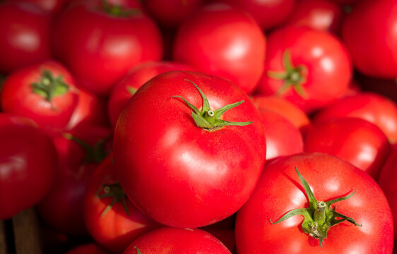 Tomatoes close up, food background