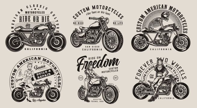 vector illustration