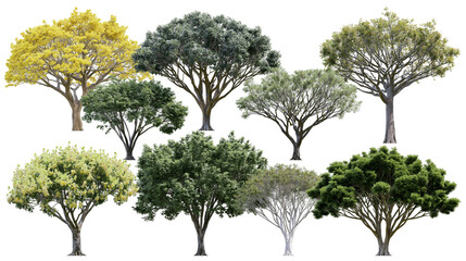 Isolated collection of various green and yellow trees featuring diverse foliage and natural shapes © Saoirse