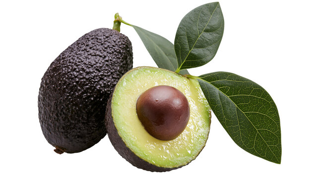 Isolated fresh whole and halved ripe avocado fruit with large pit and vibrant green leaves
