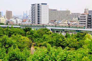 Fototapeta premium 新緑の木々と都市の高架線を走る電車