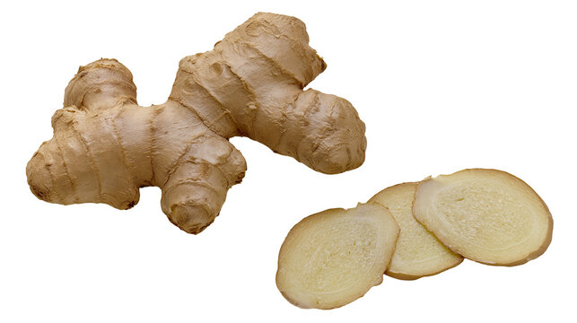 Isolated fresh ginger root and its sliced pieces, aromatic spice ingredient for cooking