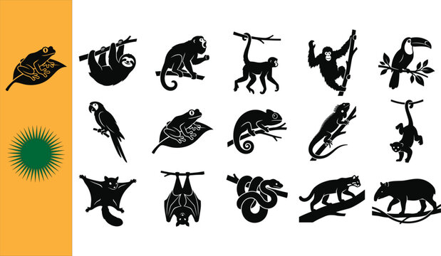 Collection of fifteen black rainforest arboreal animal silhouettes featuring frogs sloth monkeys orangutan toucan parrot chameleon iguana lemur flying squirrel bats snake cougar tapir banner
