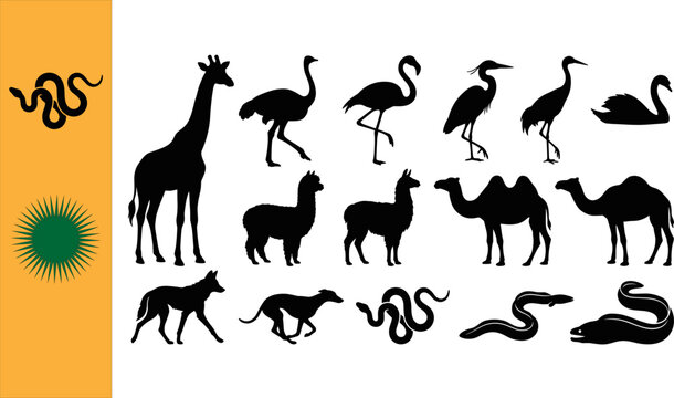 Collection of fifteen black exotic animal silhouettes featuring snakes giraffe ostrich flamingo heron crane swan alpaca llama camels wolf hound eel banner isolated white background