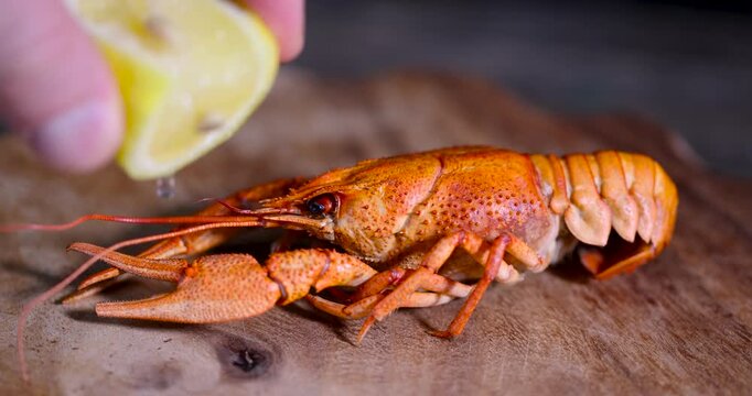 Boiled red crayfish on a vintage wooden board, a whole boiled crayfish with antennae in close-up lies on the brown surface of the table