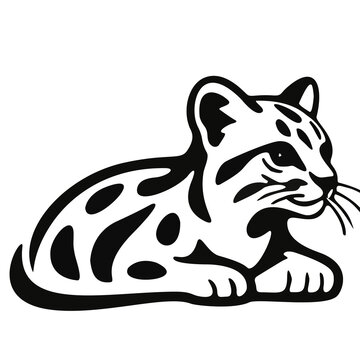 vector image of a leopard