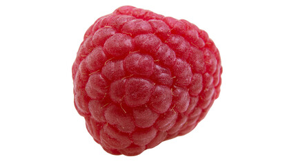 Isolated single fresh red raspberry, ripe and juicy, healthy sweet summer fruit, close-up detail © Conor