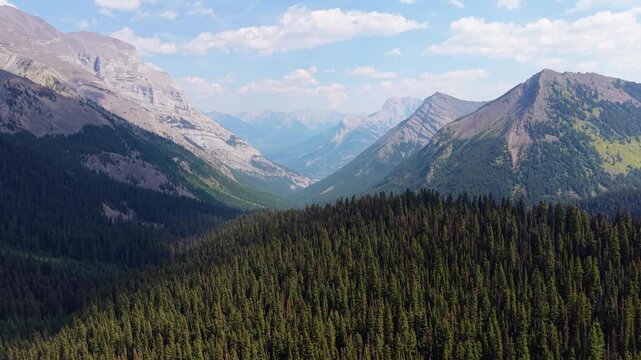 Mount Kidd South summer landscape panoramic aerial view over lush green forest valley. Kananaskis, Alberta, Canada.
