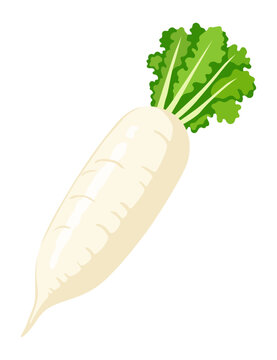 大根のイラスト｜秋冬野菜・根菜・秋の味覚のベクター素材