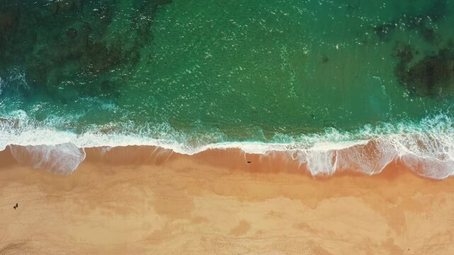 Top down drone perspective of Atlantic surf rolling onto an empty golden sandy beach along the Portuguese coast.