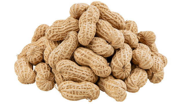 Isolated fresh raw peanuts in shell, unroasted delicious healthy snack food ingredient pile