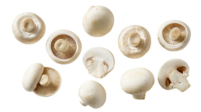 Isolated fresh white button mushrooms collection, various angles showing whole and sliced fungi