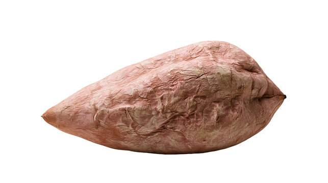 Isolated single dried shriveled sweet potato with detailed wrinkled and creased skin texture