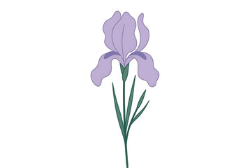 Obraz premium Minimalistyczna ilustracja wektorowa pojedynczego kwiatu irysa w kolorze jasnego fioletu z zieloną łodygą i liśćmi na czystym białym tle, idealna do projektów graficznych i dekoracji.