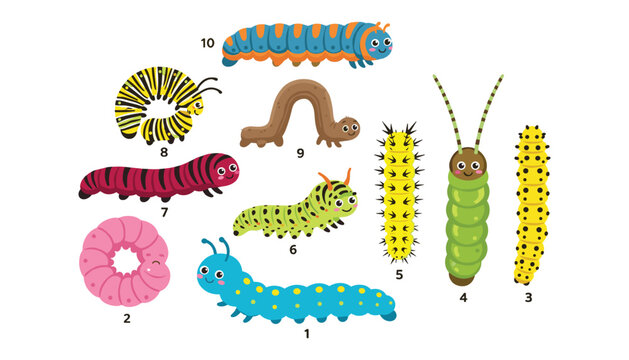 Cute colorful caterpillar vector set with various cartoon insect larvae worms and bugs for children education illustration