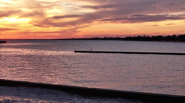 Cinematic drone footage of a coastal bird perched on a seawall at sunset, with colorful clouds, calm water, and a peaceful shoreline creating an atmospheric scenic landscape.