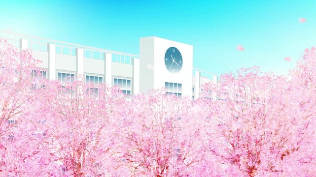 School building behind blooming cherry trees 4K