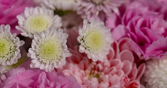 a bouquet of different flowers close up, small bush with yellow centers bloom in a delicate floral arrangement, flower petal