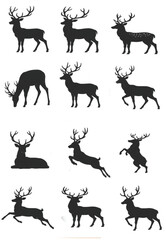 Fototapeta premium Deer Silhouette Vector Bundle – 12 Wildlife Animal Designs