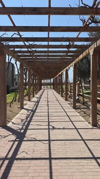 Wooden pergola tunnel walkway over paved footpath surrounded by grapevine trellises and lush greenery in a sunny vineyard. High-angle perspective of outdoor architectural landscaping, ideal for travel