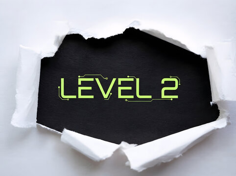 Unlocking Cyber Security And Digital Circuit Systems At The Level Two Milestone