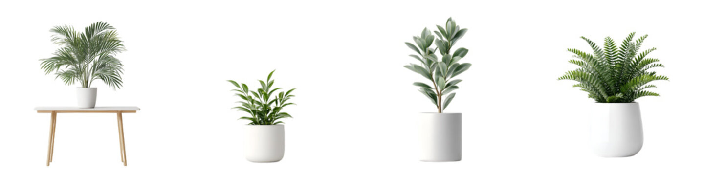 Potted Plant Collection: Modern Indoor Plants in White Pots