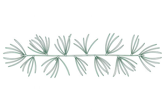Ilustraci&oacute;n lineal minimalista de una rama de pino con ac&iacute;culas estilizadas en color verde sobre un fondo blanco puro, ideal para dise&ntilde;os bot&aacute;nicos, papeler&iacute;a elegante o elementos decorativos de
