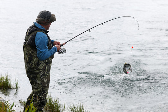 An angler wearing camouflage waders hooks a wild Coho salmon on the Egegik River in Alaska, pulling the fish from the water with a bent rod and bright lure during an exciting catch.