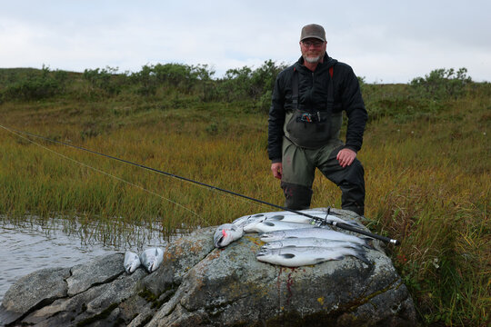 A fisherman stands beside a rock covered with freshly caught wild Coho salmon along the Egegik River in Alaska, showcasing the day&rsquo;s successful harvest.