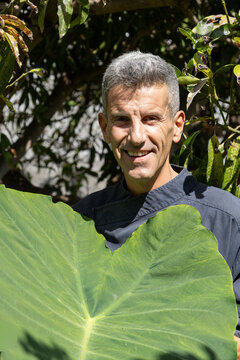 Smiling Chef Holding Giant Taro Elephant Ear Leaf in Organic Garden