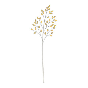 Ilustraci&oacute;n bot&aacute;nica minimalista de una rama delgada con peque&ntilde;as hojas ovaladas de color amarillo suave, dibujada con l&iacute;neas finas sobre un fondo blanco limpio, ideal para dise&ntilde;o gr&aacute;fico y papeler&iacute;a.
