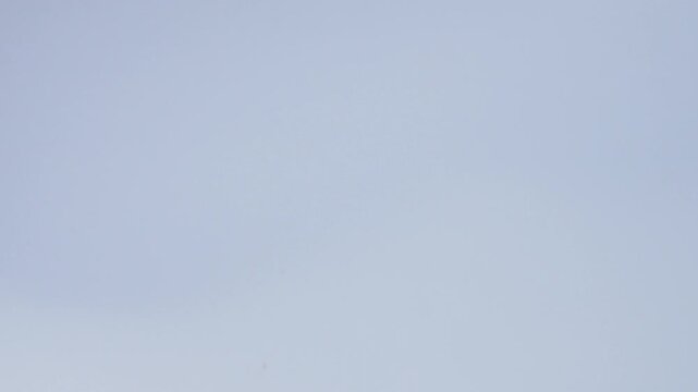 Slow-motion shot of fresh garlic cloves flying up into the air against bright studio background
