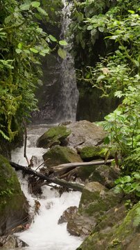 Slow motion video of a pristine cascade flowing over mossy rocks in mindo, ecuador's cloud forest