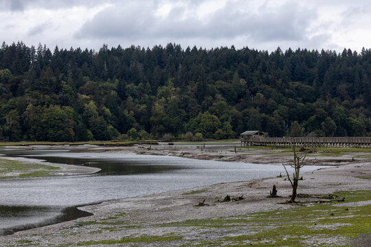 Moody overcast day during low tide at Nisqually National Wildlife Refuge where you can walk through it on a boardwalk.