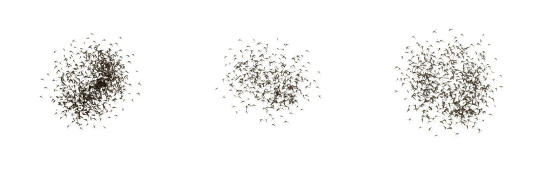 Particle Dust Cloud PNG Vector Set, Speckle Cluster Dispersion Cutout Collection, Abstract Magic Sparkle Graphic Asset, Isolated Noise Particle Clipart Pack, Special Effects Illustration for Stock Sit