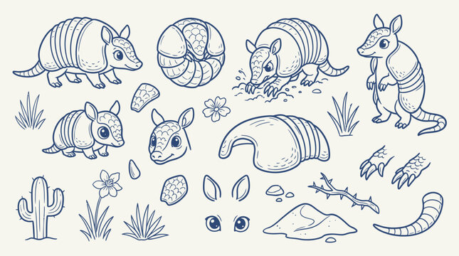 Collection of cute armadillo illustrations in various poses and elements, including a baby armadillo, desert plants, and a rolled-up armadillo.