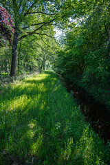 Obraz premium Landscape in Buurserzand Haaksbergen at the Nederlandroute in the Netherlands