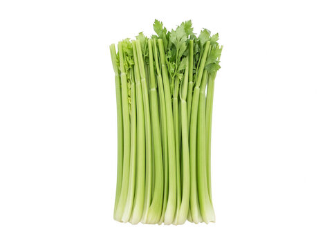 Um ma&ccedil;o de aipo fresco e crocante com talos verdes vibrantes e folhas frescas, isolado sobre um fundo branco puro, ideal para conceitos de culin&aacute;ria saud&aacute;vel, nutri&ccedil;&atilde;o, dieta e ingredientes frescos.