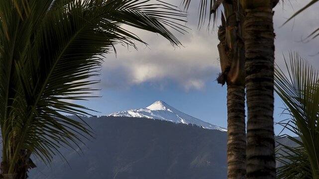 Puerto de la Cruz, snowy mountain between palm silhouettes under partly cloudy sky, Teide, Parque Nacional del Teide, Teide National Park, volcano, volcanism, UNESCO World Heritage Site, Tenerife, Canary Islands, Spain