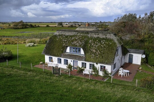 Thatched-roof house on Kaydeich, Pellworm Island, Schleswig-Holstein Wadden Sea National Park, North Frisia, Germany