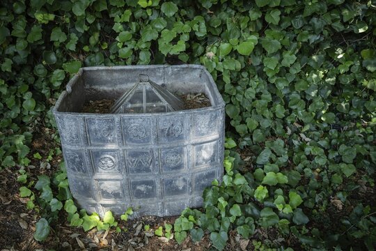 Old lead container dating from 1670, presumably for compost, Chelsea Physic Garden, historic botanical garden, oldest botanical garden in London, founded in 1673 by the Worshipful Society of Apothecaries, Chelsea, England, Great Britain