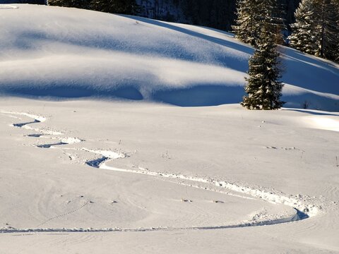 Lonely ski trail in deep snow, Berchtesgaden Alps, Berchtesgaden National Park, Sch&ouml;nau am K&ouml;nigssee, Berchtesgadener Land, Upper Bavaria, Bavaria, Germany
