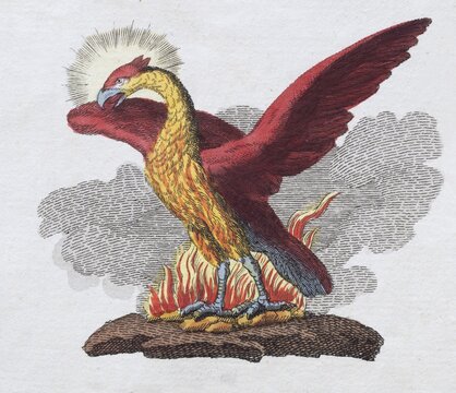 Phoenix, hand-coloured copperplate engraving from Friedrich Justin Bertuch's picture book for children, Vienna 1801
